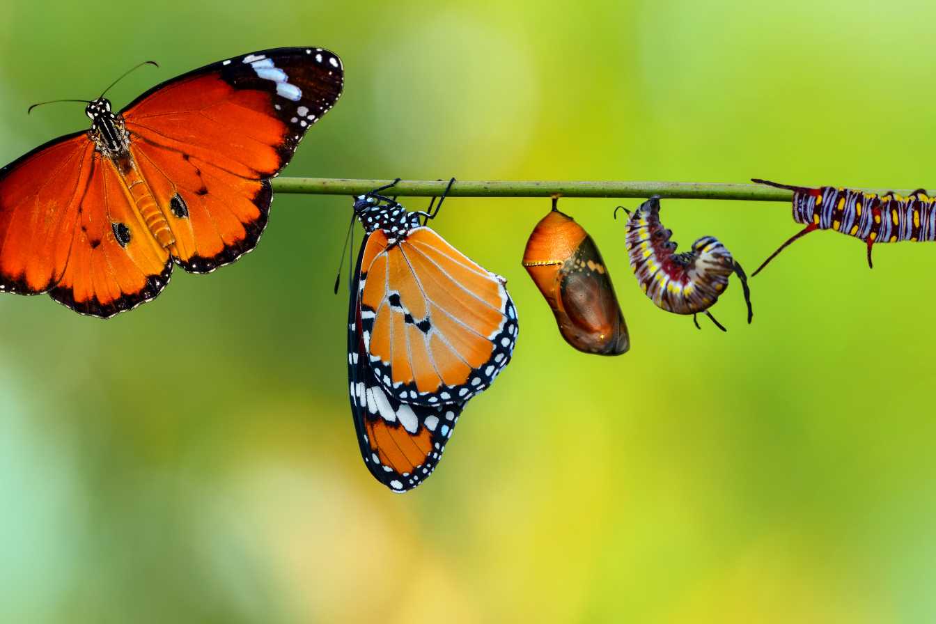 22h22-signification-2