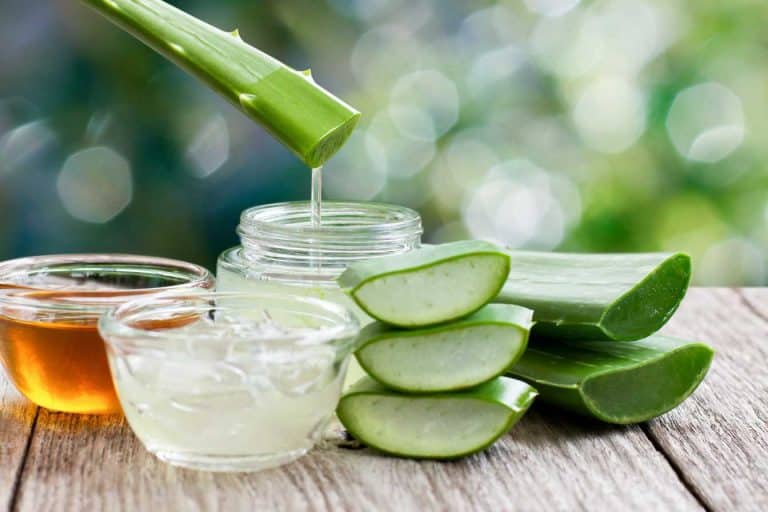 aloe vera gel pour les cheveux 1
