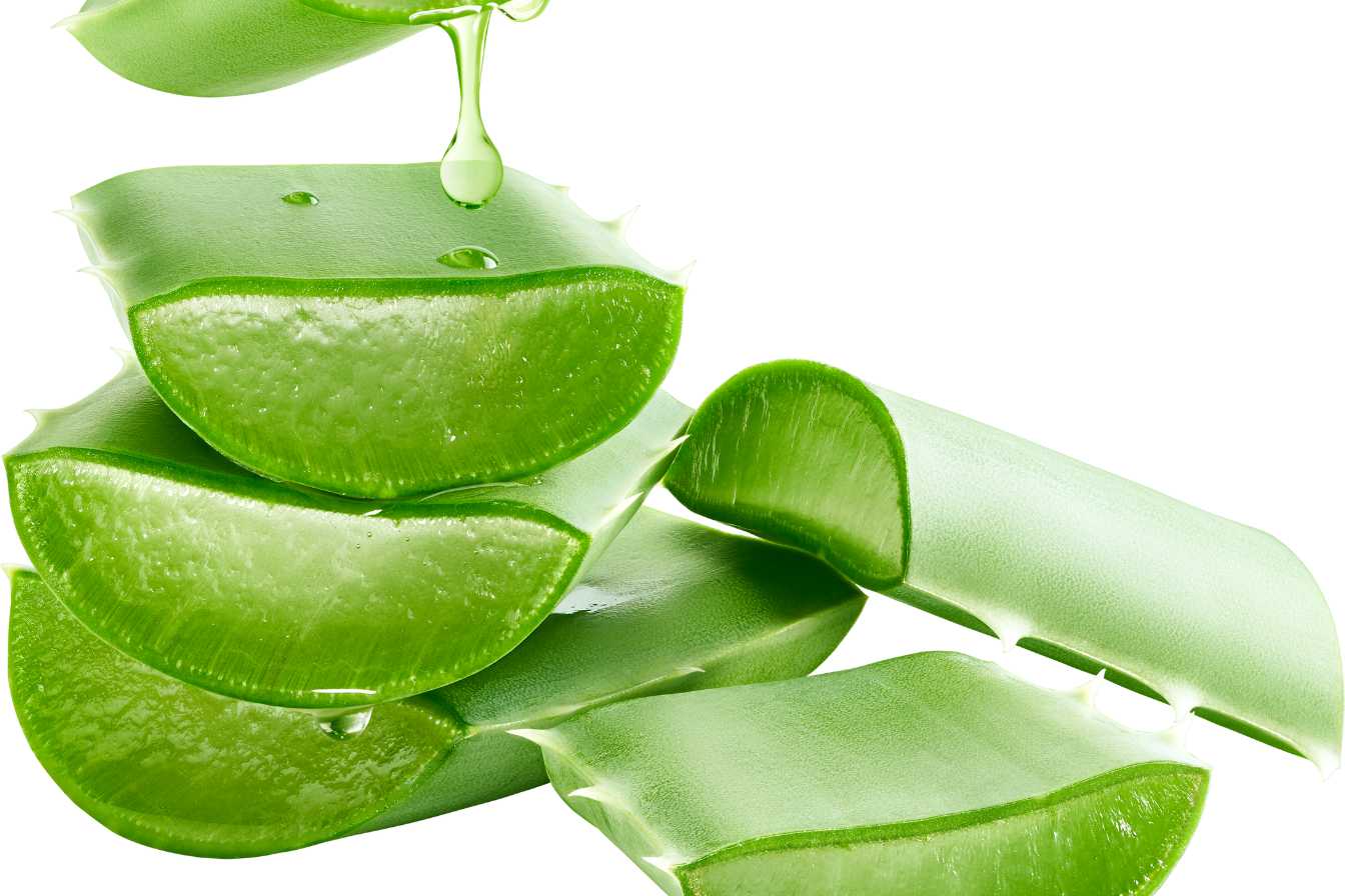 aloe-vera-gel-pour-les-cheveux-3