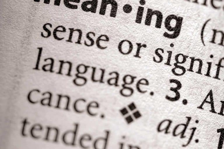 factuel definition 1