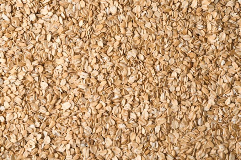 flocon d avoine bienfaits recettes 1