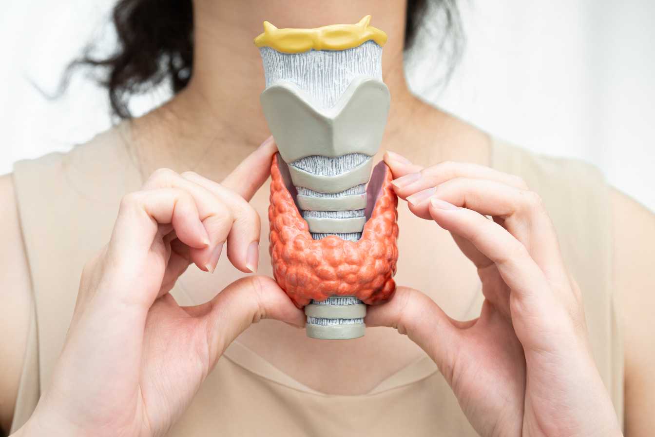 methode-thyroide-turbo-boostez-votre-metabolisme-et-perdez-du-poids-naturellement-3