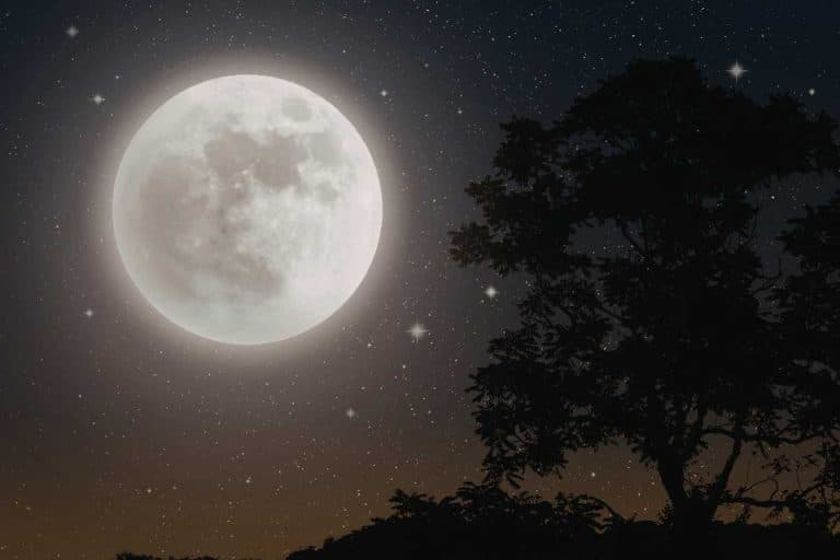 pleine lune et accouchement mythe ou realite scientifique 1