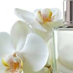 tableau de concordance parfums 1