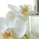 tableau de concordance parfums 1