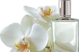 tableau de concordance parfums 1