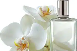 tableau de concordance parfums 1