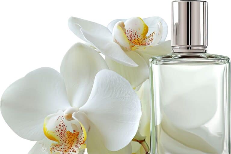 tableau de concordance parfums 1